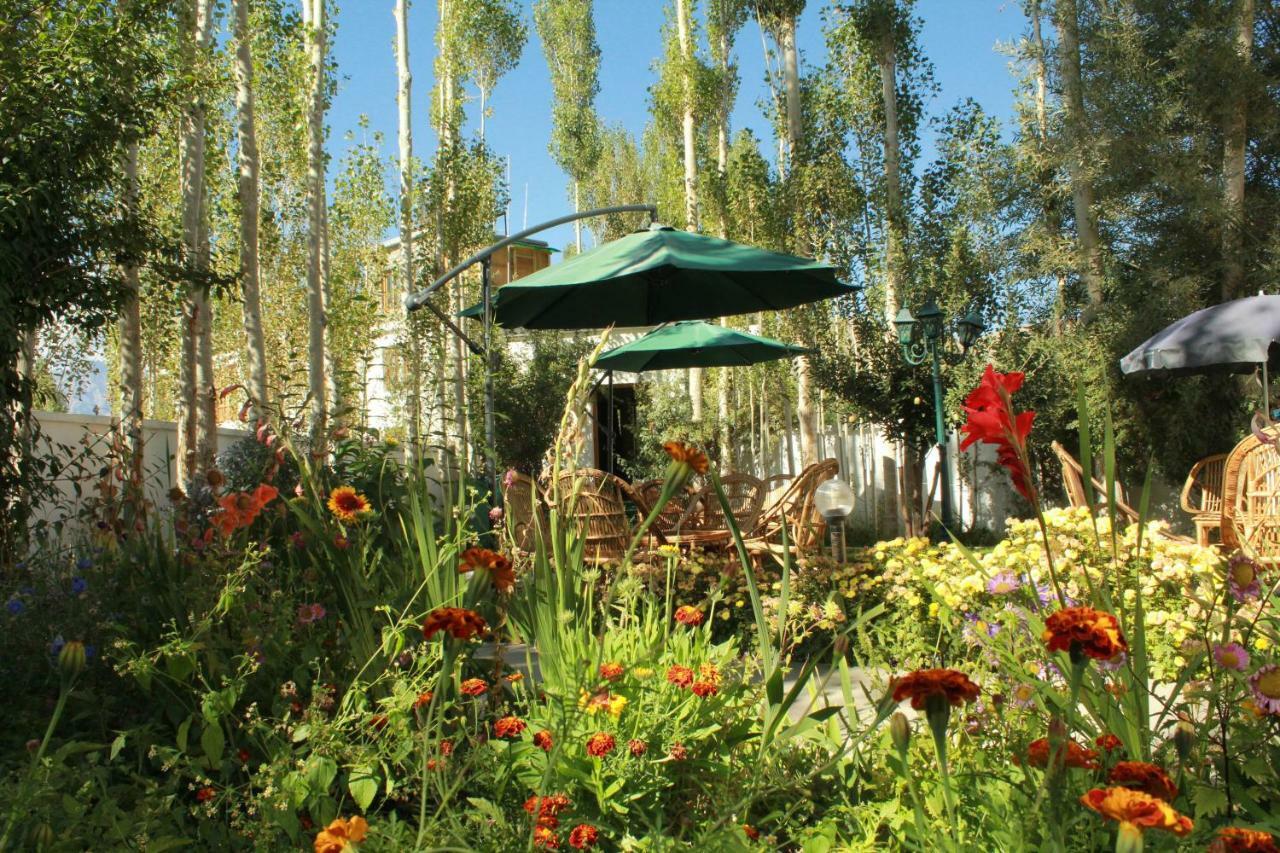 Hotel Ladakh Greens - An Organic Retreat 레 외부 사진
